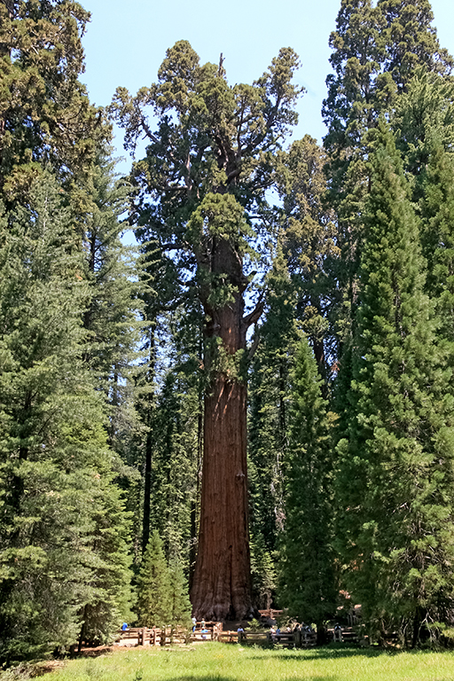 07-02 - 03.JPG - Sequoia National Park, CA